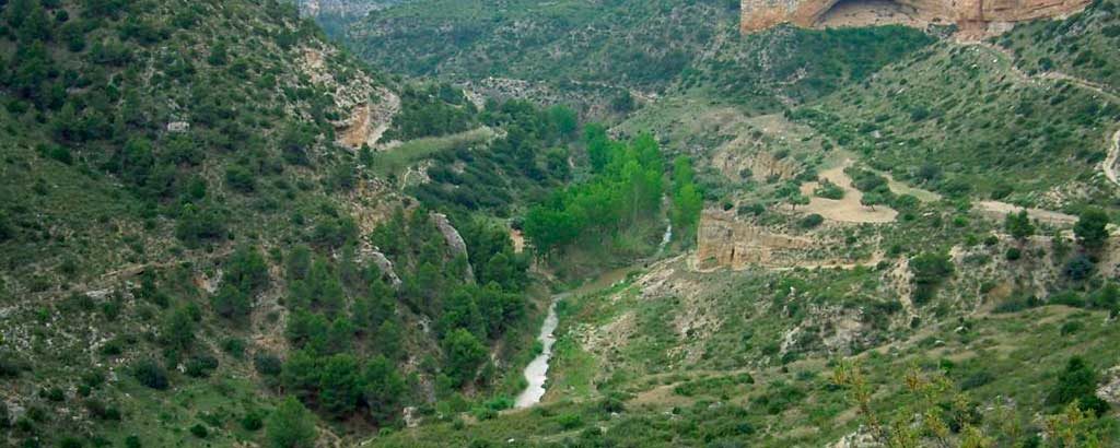 Aragón por los cinco sentidos río martín