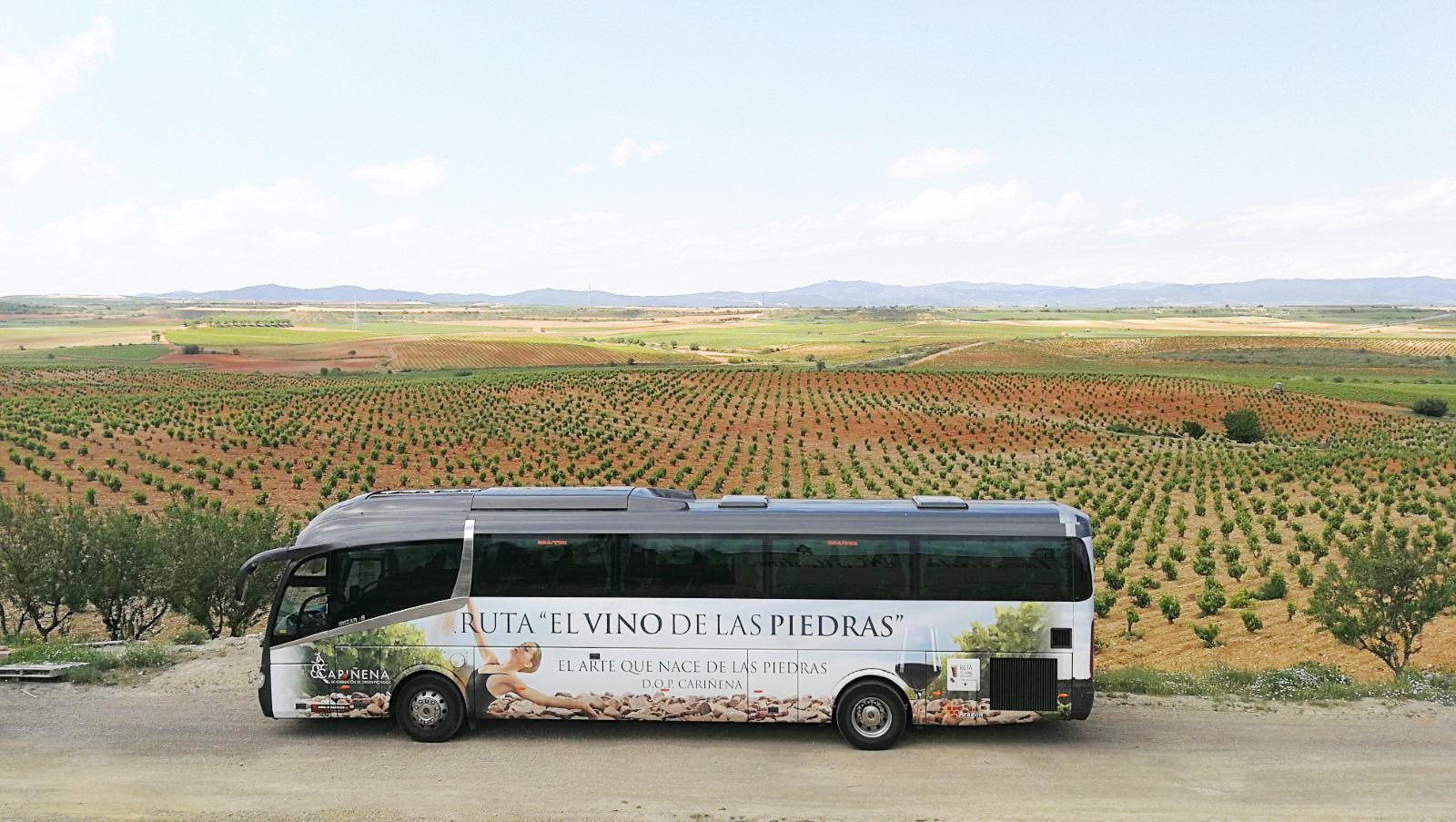 Bus del Vino Cariñena (1)