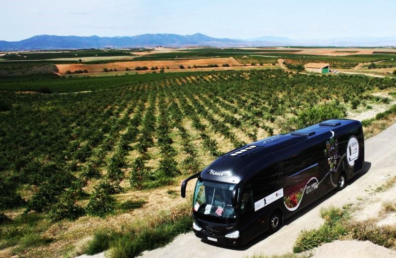 Bus del Vino Cariñena 2019