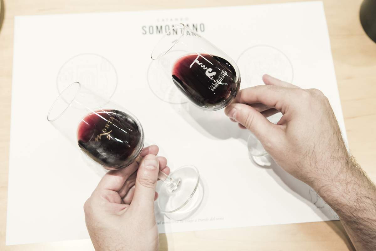 Ruta del Vino Somontano